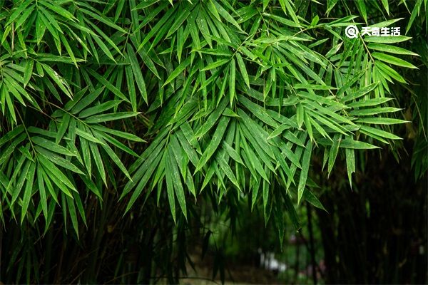 下雨的有意境的短句子 下雨的有意境的短句子说说