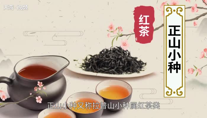 正山小种是什么茶喝正山小种茶有什么好处