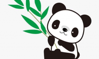 如何画一只熊猫?画熊猫教程分享