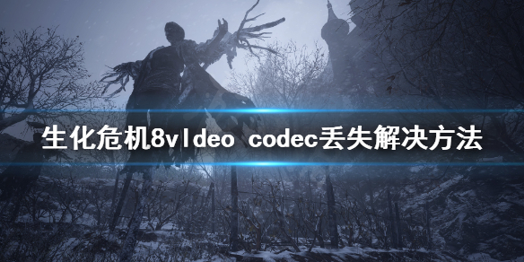 生化危机8vldeo codec找不到怎么办 生化8vldeo codec丢失