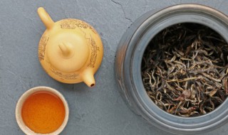 祛湿茶适合什么时间喝 祛湿茶什么季节喝好些